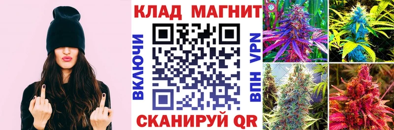 Где продают наркотики Гусиноозёрск Галлюциногенные грибы  A PVP  Мефедрон  Cocaine  Бошки Шишки 