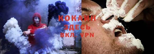 ГАЛЛЮЦИНОГЕННЫЕ ГРИБЫ Сясьстрой