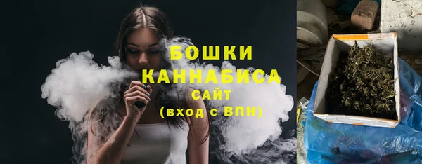 хмурый Тайга