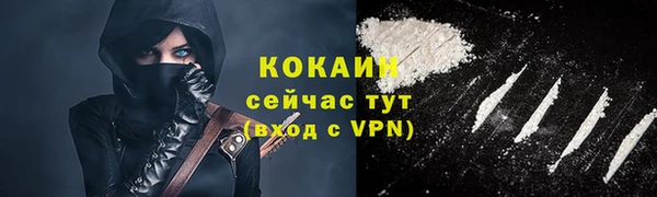 гидра Бронницы