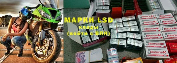 гидра Бронницы