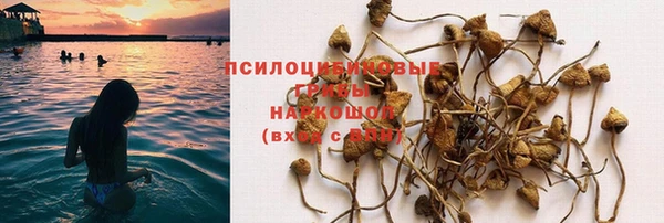 гидра Бронницы