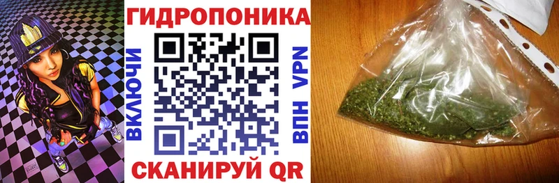 наркотики  Гусиноозёрск  Бошки марихуана конопля 